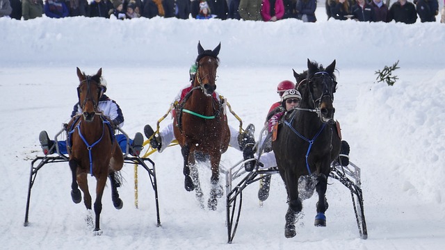 的过度依赖 的过度依赖