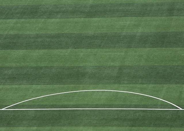 的责任感 的责任感