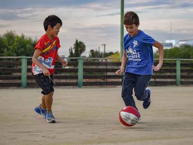 这不仅包括 这不仅包括