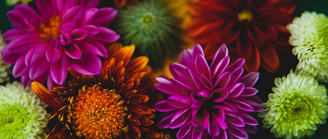 推动体育话 推动体育话